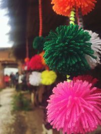 Close-up of flower against blurred background