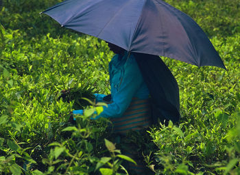 View of man holding umbrella