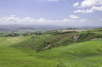 Scenic view of agricultural field against sky