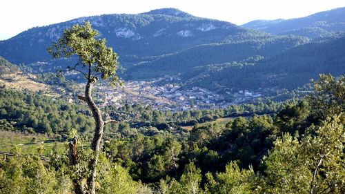 Scenic view of landscape and mountains