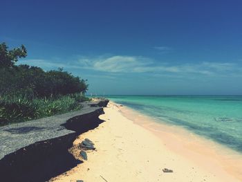 Scenic view of beach against blue sky