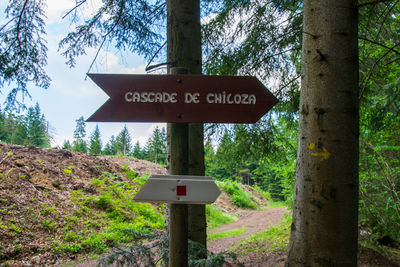 Information sign on tree trunk