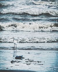 water
