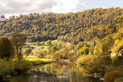 Scenic view of river amidst trees against sky