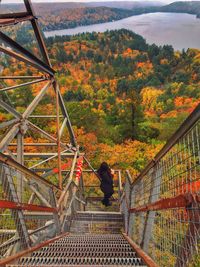 High angle view of mid adult woman standing on observation point during autumn