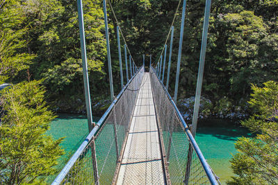 Bridge over river amidst trees in forest