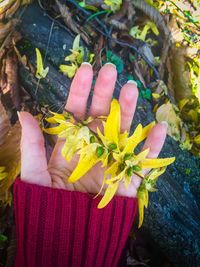 Close-up of woman holding flowers