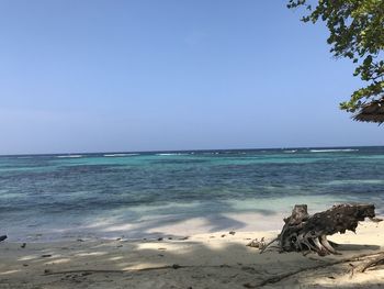 Scenic view of sea against clear sky