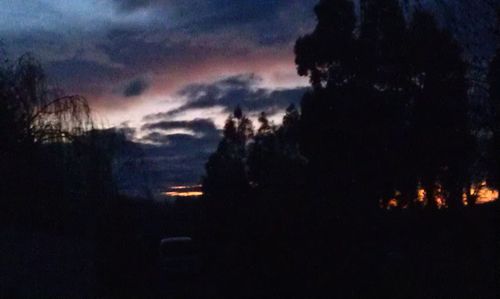 Silhouette of trees against cloudy sky