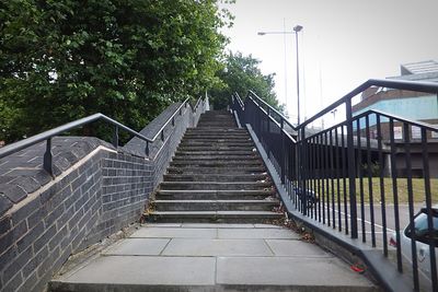 Stairs along trees