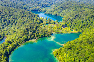 High angle view of lake amidst trees