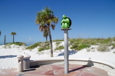 Plants on beach against clear blue sky