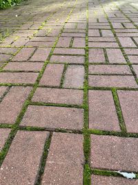 High angle view of footpath