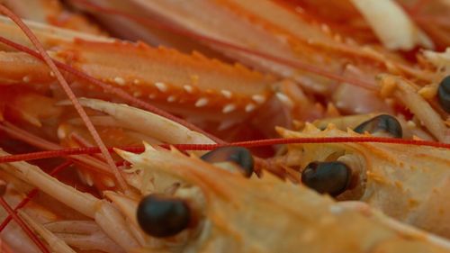 Full frame shot of prawns in market