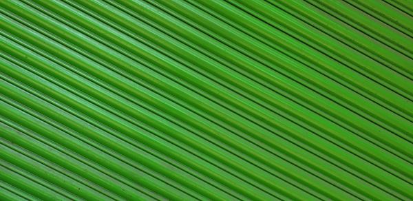 Full frame shot of palm leaves