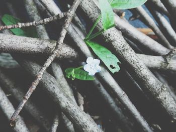 High angle view of rope tied up on metal