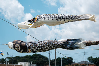 Low angle view of fish streamers hanging on rope against sky