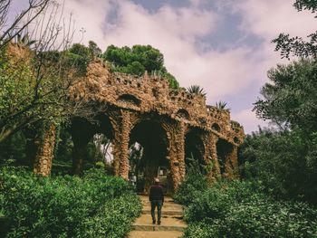 Rear view of man on plants against sky