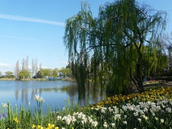 View of calm lake against sky