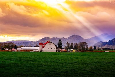 Scenic view of field against sky during sunset