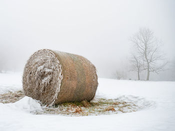 Hay bales on snow covered field against sky