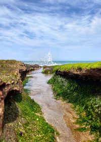 Scenic view of sea against sky