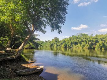 Scenic view of lake in forest against sky