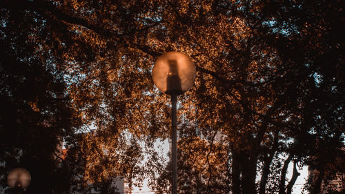 Low angle view of illuminated street light against sky