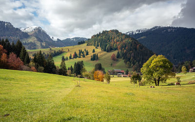 Scenic view of field against sky