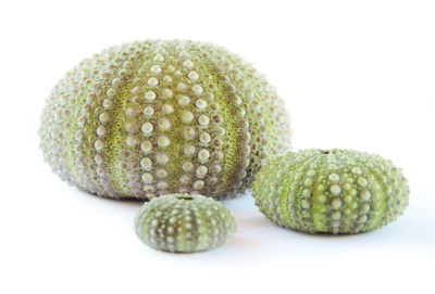 Close-up of fruits against white background