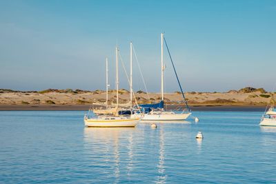 Sailboats in sea against clear sky