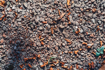 Full frame shot of dry leaves on pebbles