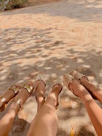 Low section of friends at beach during sunny day