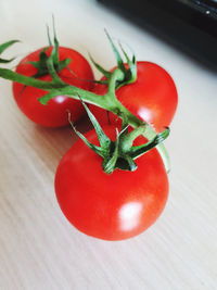 High angle view of tomatoes on table