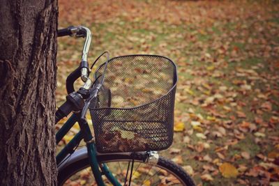 Close-up of bicycle by tree trunk