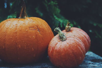 Close-up of pumpkins on table