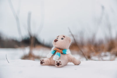 A toy polar bear in a scarf sits on the snowy winter field and looks up waiting for the spring