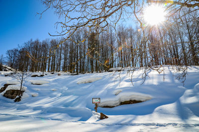 Trees on snow covered land against sky