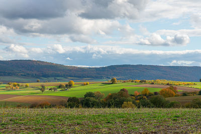 Scenic view of field against sky