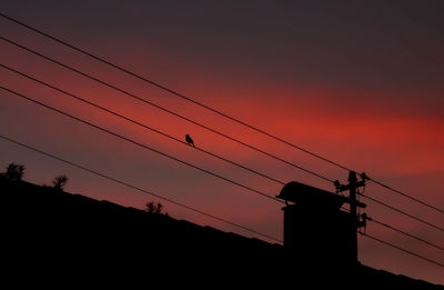 Low angle view of silhouette birds against sunset sky