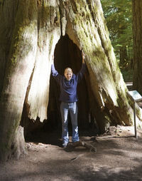 Full length of man standing in tunnel