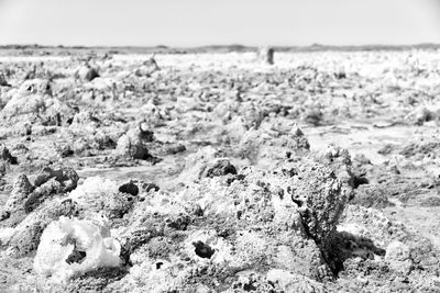 Close-up of sand on beach against sky