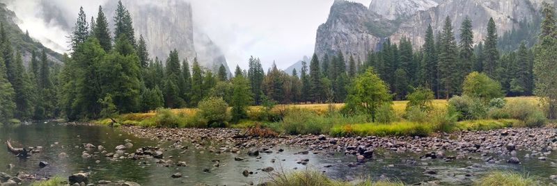 Yosemite national park on a rainy afternoon