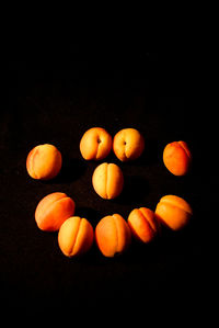 Close-up of orange fruits against black background