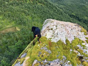 Man feeding on cliff