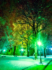 Illuminated street light at night