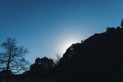 Low angle view of silhouette trees against clear sky