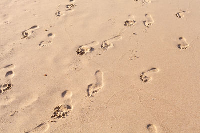 High angle view of footprints on sand at beach