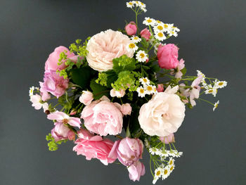 Close-up of pink roses against black background