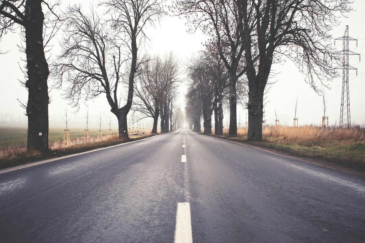 the way forward, diminishing perspective, vanishing point, road, transportation, tree, road marking, bare tree, empty road, country road, long, tranquility, asphalt, tranquil scene, sky, empty, nature, treelined, street, no people